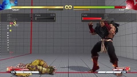 SFVCE Sagat V Trigger 2 Confirms