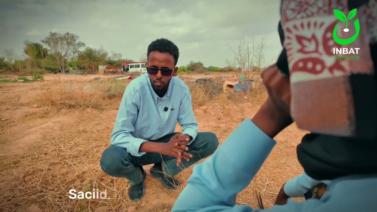🎥 Short film Agriforesty : Maxay tahay faaidada dhirta waawayni u leedahay beerta ?