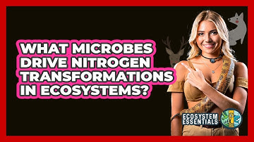 What Microbes Drive Nitrogen Transformations in Ecosystems?