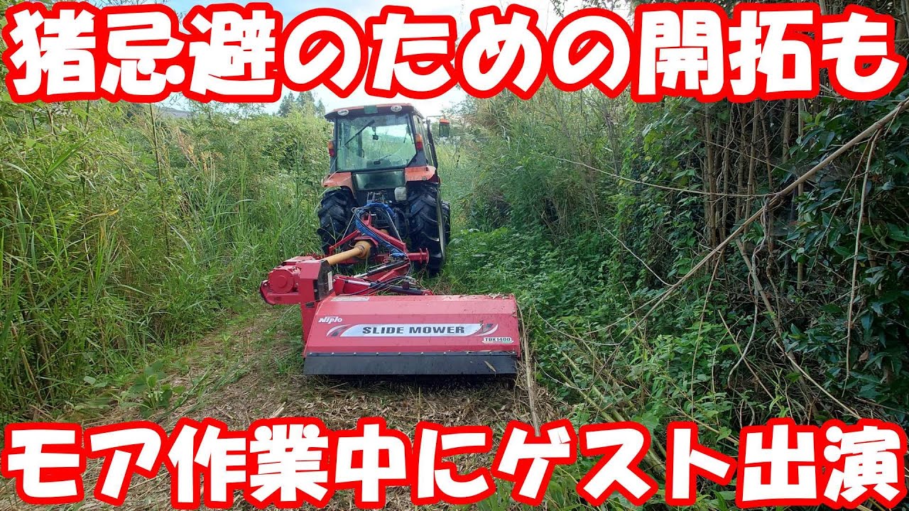 猪を住み着かせないため開拓が…。負けずに堤防雑草を粉砕。