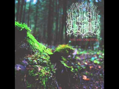 Our Last Rain - Night Ritual - YouTube
