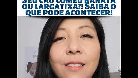 O que acontece quando o cachorro morde a lagartixa?