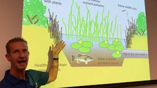 Ponds & Their Relationship to Water Quality