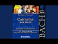 Miniature de la vidéo de la chanson Kantate, Bwv 156 "Ich Steh Mit Einem Fuß Im Grabe": V. Recitativo (Basso) "Und Willst Du, Dass Ich Nicht Soll Kranken"