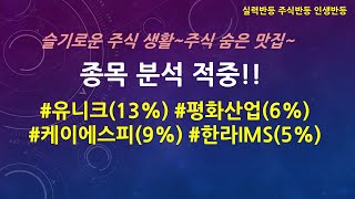주식 #유니크 #평화산업 #케이에스피 #한라ims  분석적중