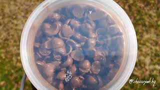 .Hq (Chocojar Murah❗🔥~ Rm 8 - Rm 10 Only)