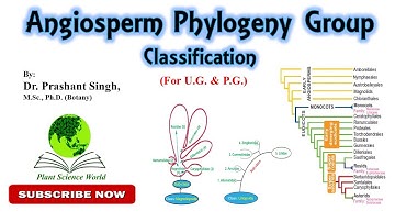 Angiosperm Phylogeny Group (APG) Classification (For U.G. & P.G.)
