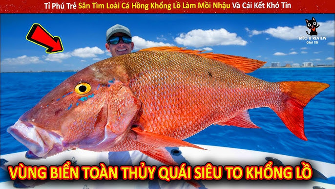 7. Lưu Ý Khi Chọn Mua Và Bảo Quản Cá Hồng Biển