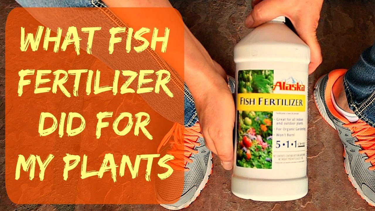 Alaska Fish Fertilizer Feeding Chart