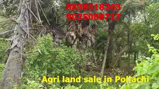 Agriculture land sale in Pollachi  | Land sale in Pollachi  | 2.75 Acre land in Pollachi | Lands