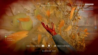 [BF5] killed by a smoke grenade rifle