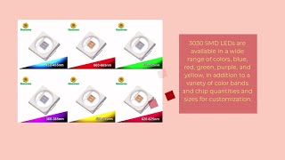 3030 SMD LED CHIP