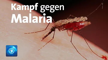 Wo braucht man eine Malaria Impfung?