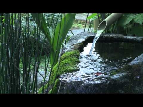 やさしい水の音 ASMR 熟睡導入 Relaxing Sounds of clear stream 長崎県 島原市 Shimabara City,Nagasaki Japan