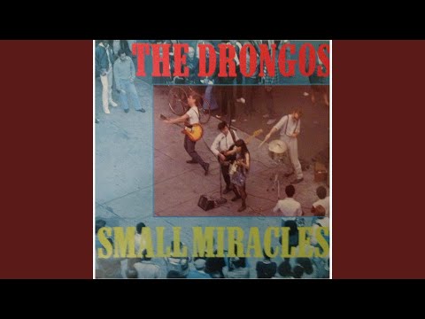 The Drongos — Substance Abuser