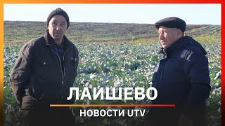 Новости Лаишевского района от 14 октября на#UTV