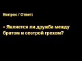 Является ли дружба между братом и сестрой грехом? В.Н. Чухонцев. МСЦ ЕХБ.