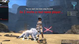 [Vindictus EU] 2 Bugs WTF