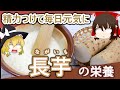 【ゆっくり解説】長芋の栄養について解説します。