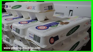 automatic egg box printing machine(no need printing molds)