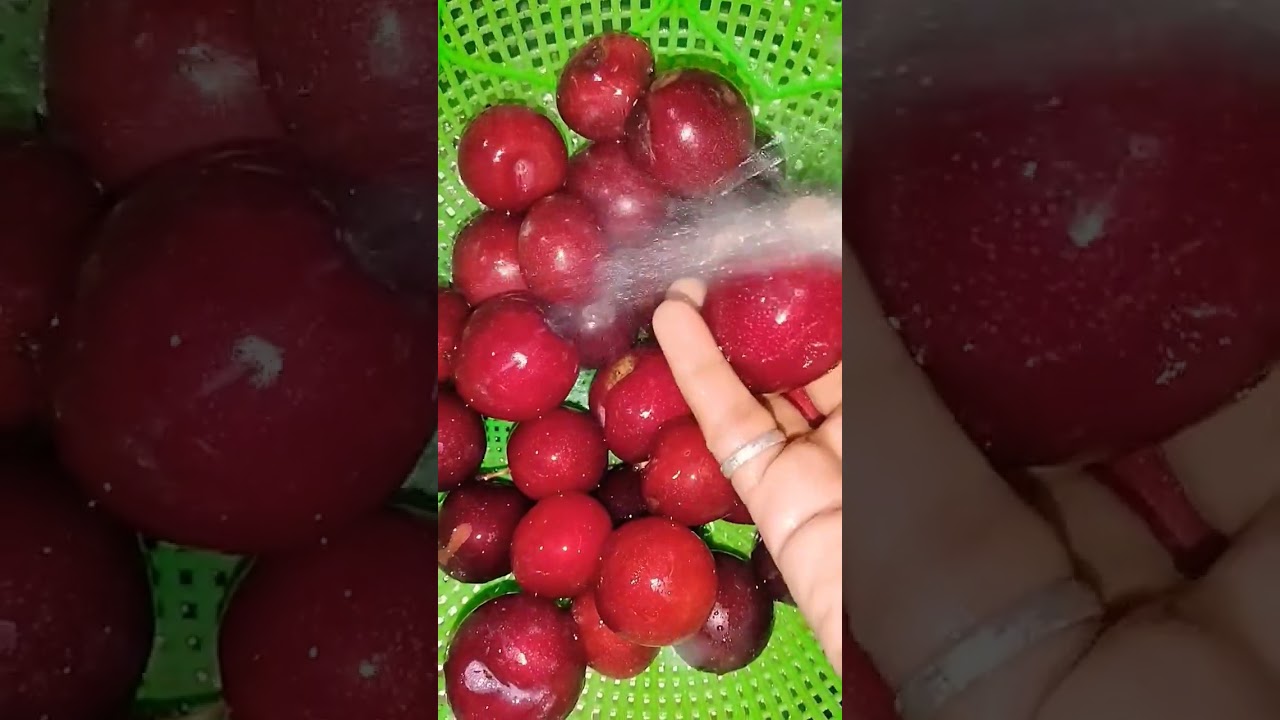 #food #shortsfeed #shortsviral #shortvideo #noonionnogarlic #shorts  dai dai