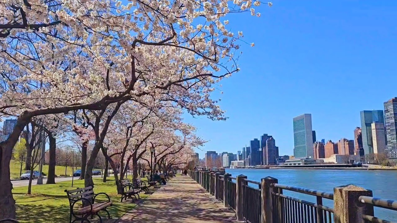The simple beauty of Roosevelt Island, can be seen on our walk Mymixvid