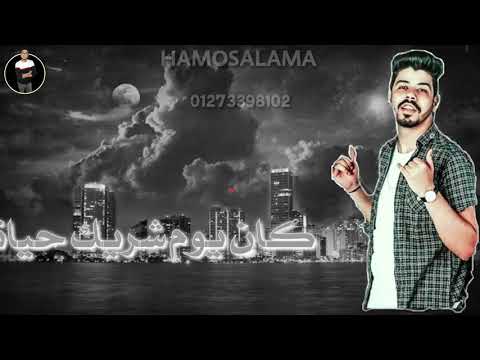 الفيلو لو ناسى انا ابقا مين بوص ل اسمى على الجدران 2020 انا صاحبى مغفلاتى