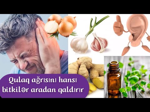 Qulaq ağrısını hansı bitkilər aradan qaldırır?