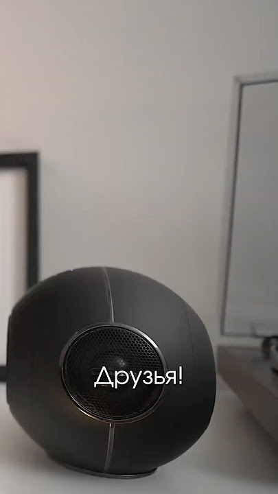 Cabasse Pearl Myuki #audiotechnique #audioplayer #audiosoftware #music
