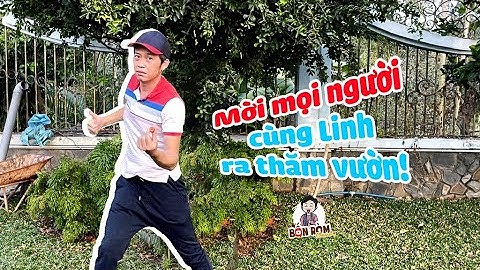 Giới thiệu cây nhà lá vườn | Bốn Ròm Channel | Hoài Linh