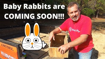 HOW TO Build Rabbit Nesting Boxes | Meat Rabbits