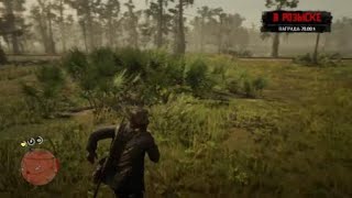 Случайное событие с законниками. RDR2