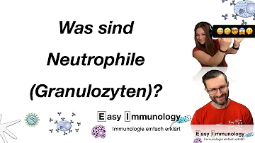 Wie entsteht eine Neutropenie?