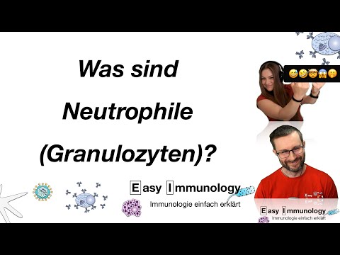Video: Ist eine leichte Neutrophilie gefährlich?