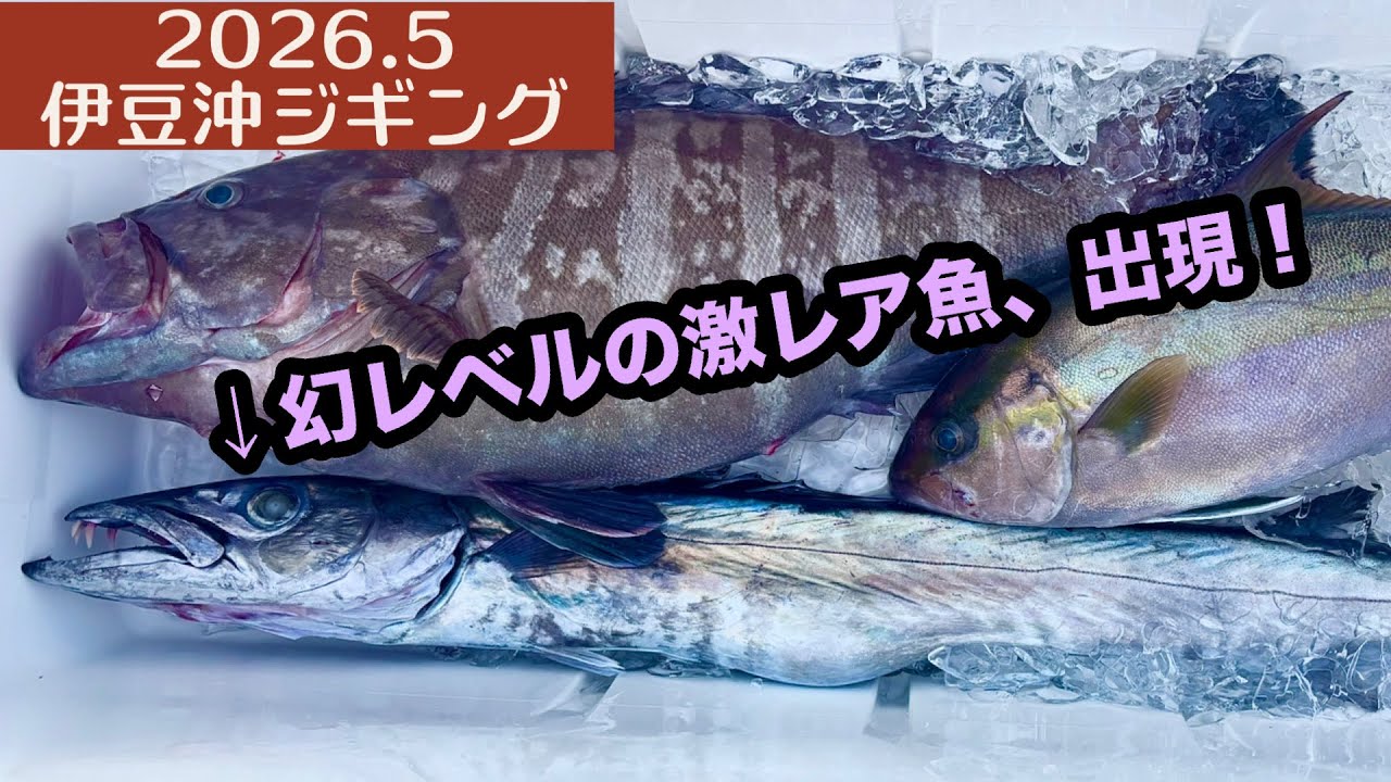 2026.5] Jigging off the coast of Izu! This time, we encountered an