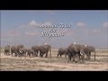 Amboseli Trust For Elephants