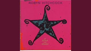 Watch Robyn Hitchcock The Philosophers Stone video