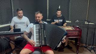 Daniel Migodici - Sârbă acordeon❗️