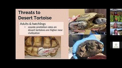 Envirothon Webinar: Coyote & Raven Management - Th...