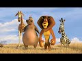 Madagascar Escape 2 Africa Full Movie Facts And Review Ben Stiller Chris Rock Madagascar Escape 2 Africa Full Movie Facts And Review Ben Stiller Chris Rock