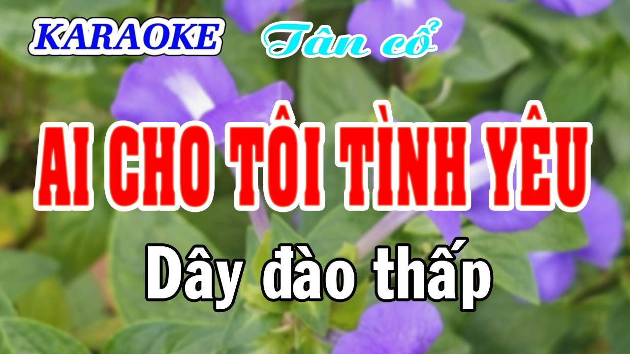 Karaoke _  Ai Cho Tôi Tình Yêu _  Dây Đào Thấp