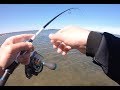 Flathead fishing the Swan River | Light Tackle Fun