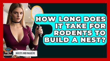How Long Does It Take For Rodents To Build A Nest? - Insects and Invaders