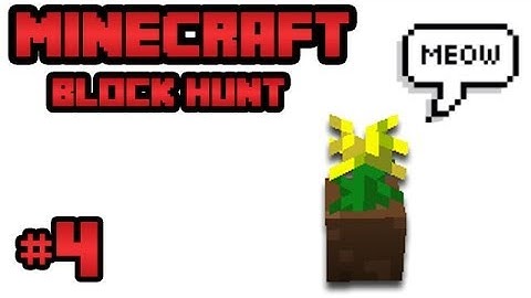 NEWBS! | BLOCK HUNT #4 | Minecraft Mini-game