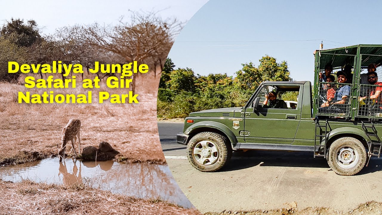 devalia safari park vs gir jungle trail