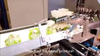 Full automatic iceberg lettuce vegetable packing wrapping machine/flow packer