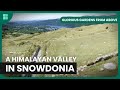 Snowdonia's Stunning Gardens - Glorious Gardens From Above - S01 EP8 - Gardening Show