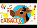 Los Sonidos de Animales - El Caballo | Rondas Infantiles de Los Animales para Niños | BabyFirst