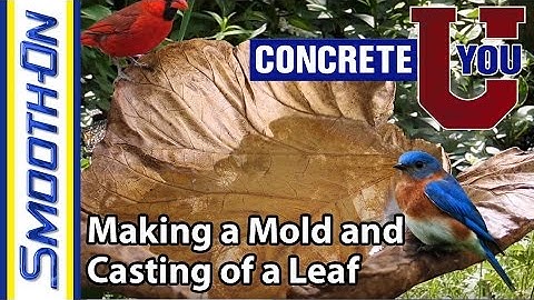 How to Make a Mold of a Leaf for Casting Concrete - Molds of Nature