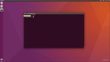 Linux Command Line Interface and BASH Scripting - pwd and cd command